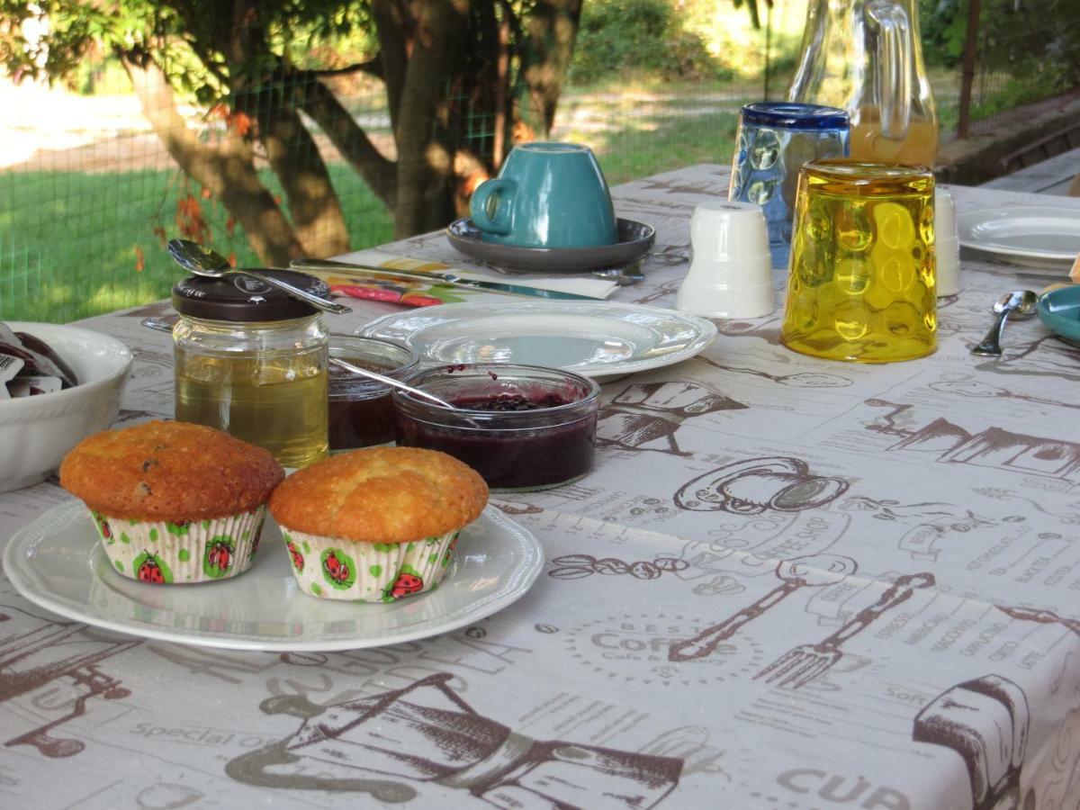 La Bella Dormiente B&B Castellamonte Εξωτερικό φωτογραφία